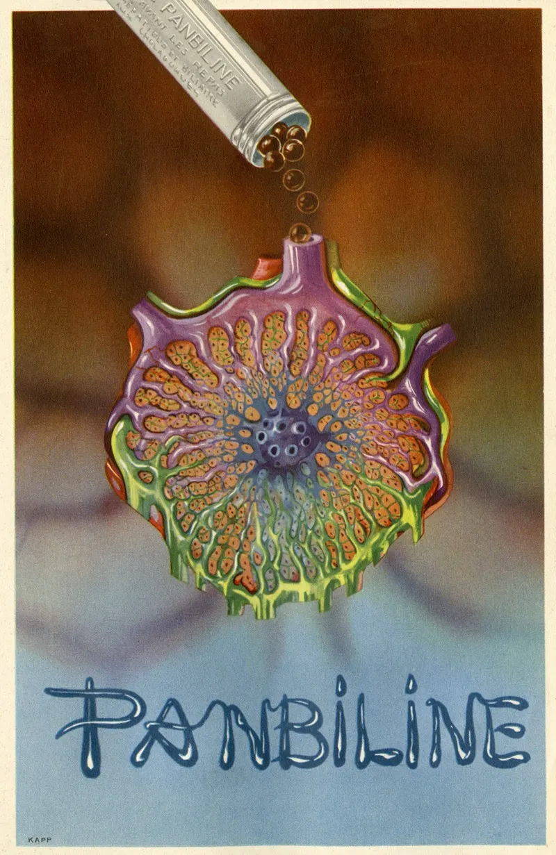 Panbiline 2 Wall Art by Laboratoire du docteur Plantier - High-Resolution Digital Print