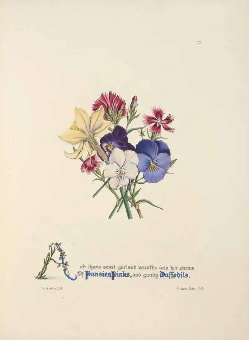 Pansies Pinks And Daffodils Wall Art by Jane Elizabeth Giraud - High-Resolution Digital Print