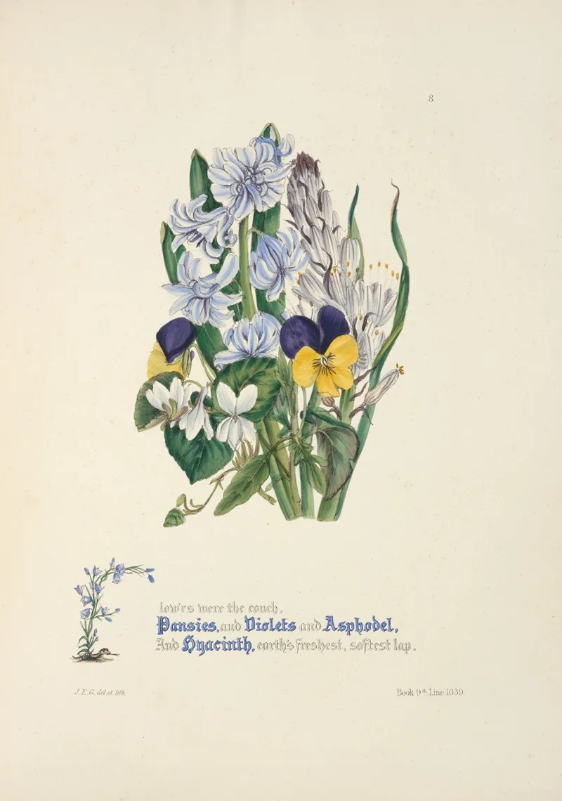 Pansies Violets Asphodel And Hyacinth Wall Art by Jane Elizabeth Giraud - High-Resolution Digital Print