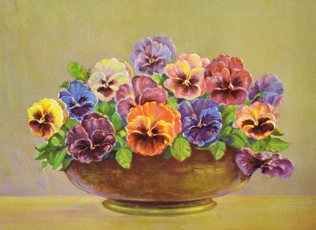 Pansy Wall Art by Lafayette F. Cargill - High-Resolution Digital Print