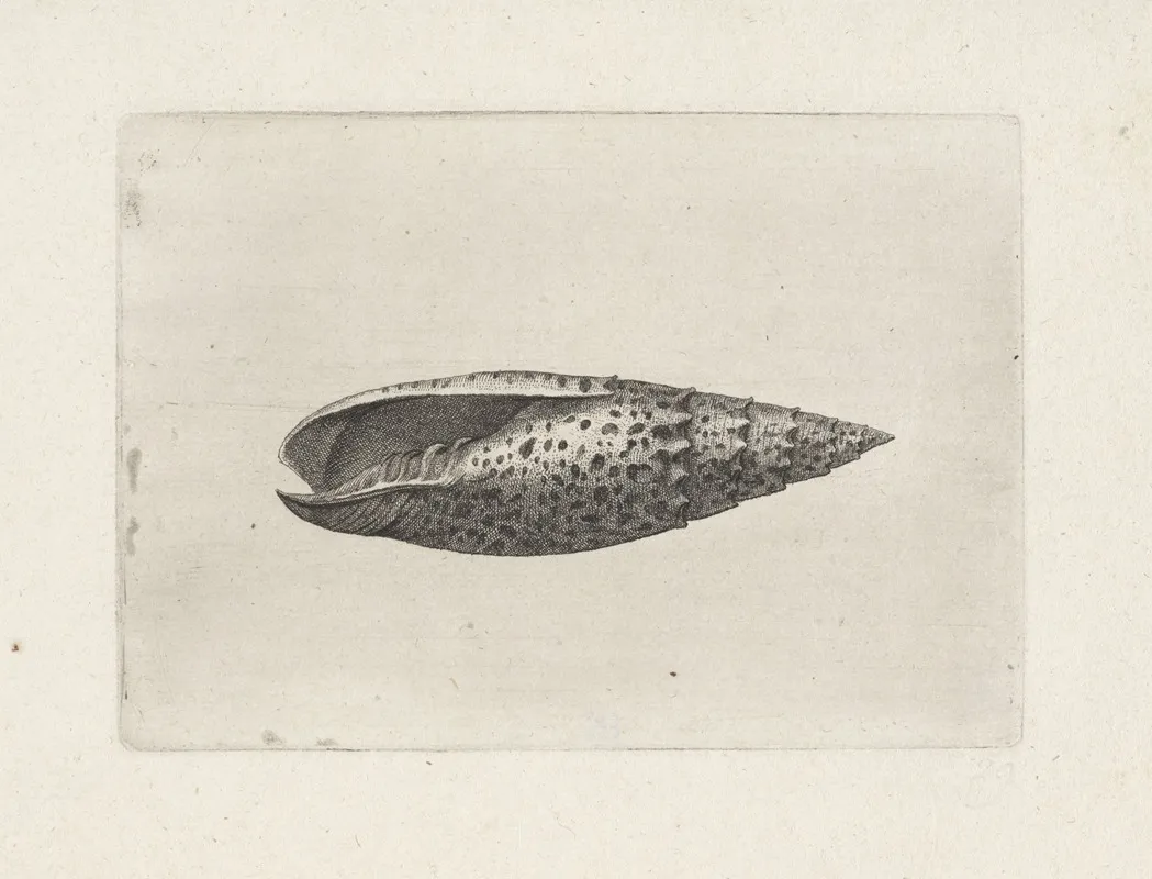 Papal Mitre Mitra Papalis