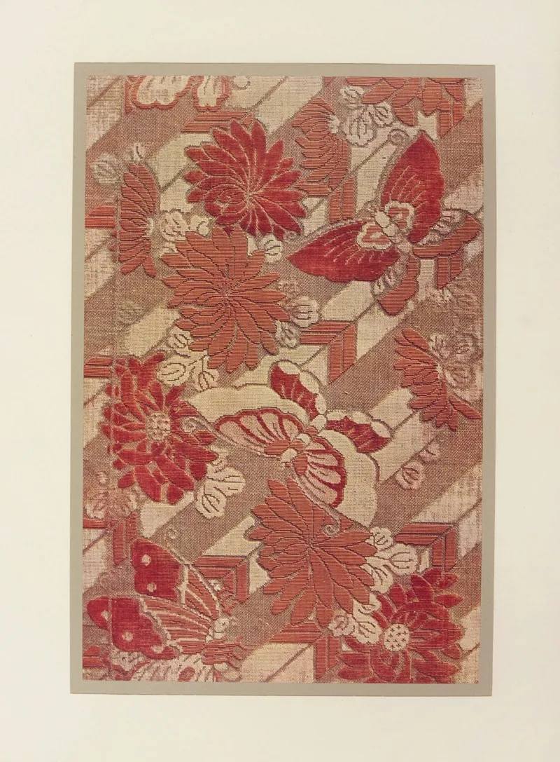 Papillons Et Chrysanthemes