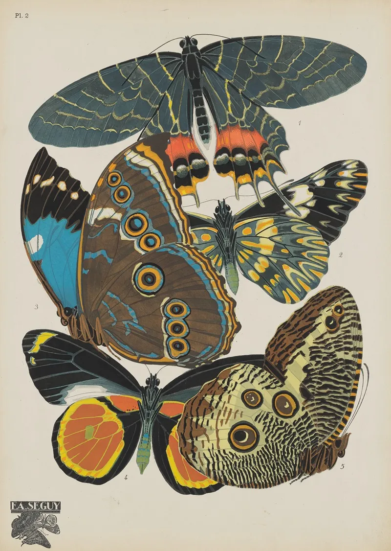 Papillons Pl 02