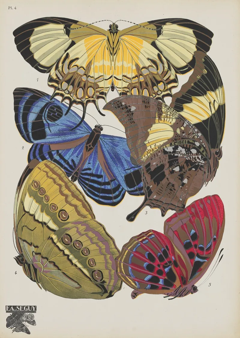 Papillons Pl 04