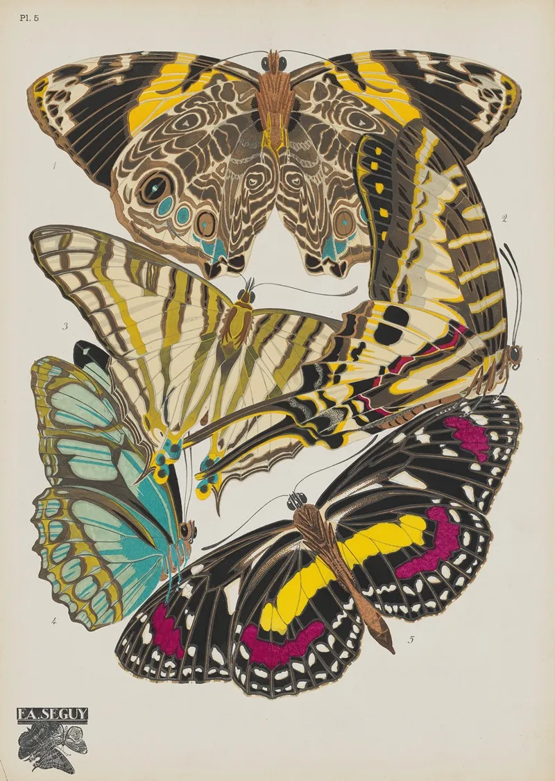 Papillons Pl 05