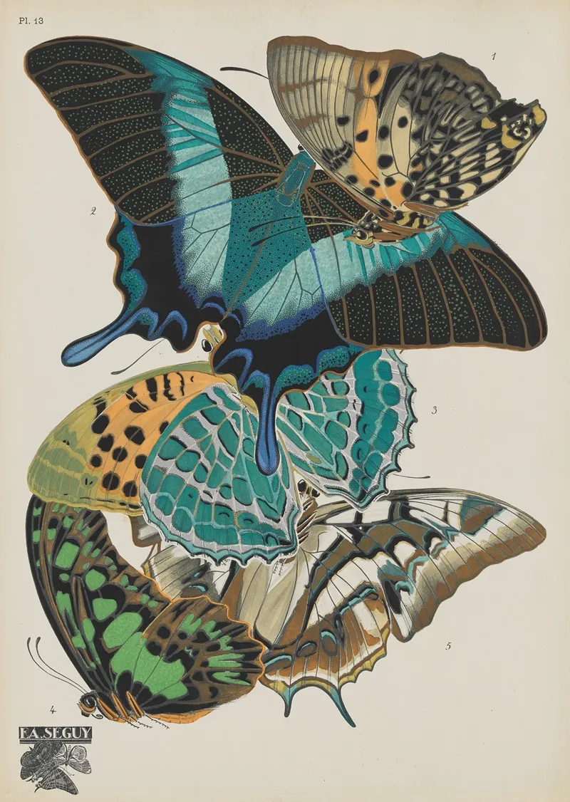 Papillons Pl 13 2