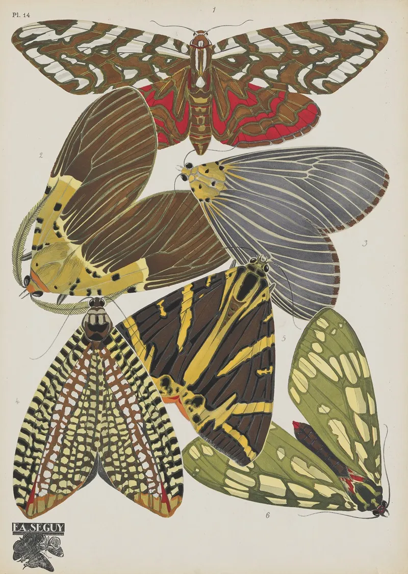 Papillons Pl 14 2