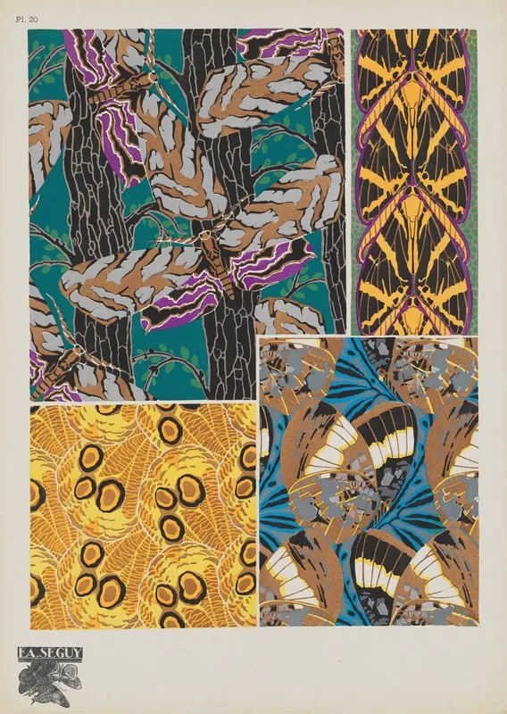 Papillons Pl 20 2