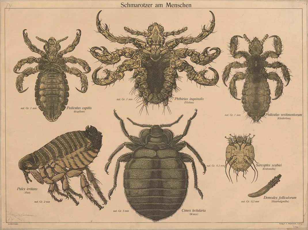 Parasites 2