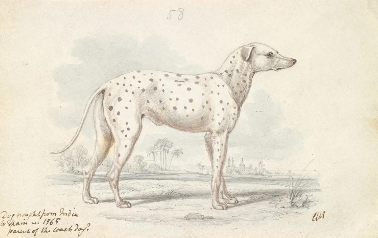 Parent Of The Modern Coach Dog Turnspit Dog