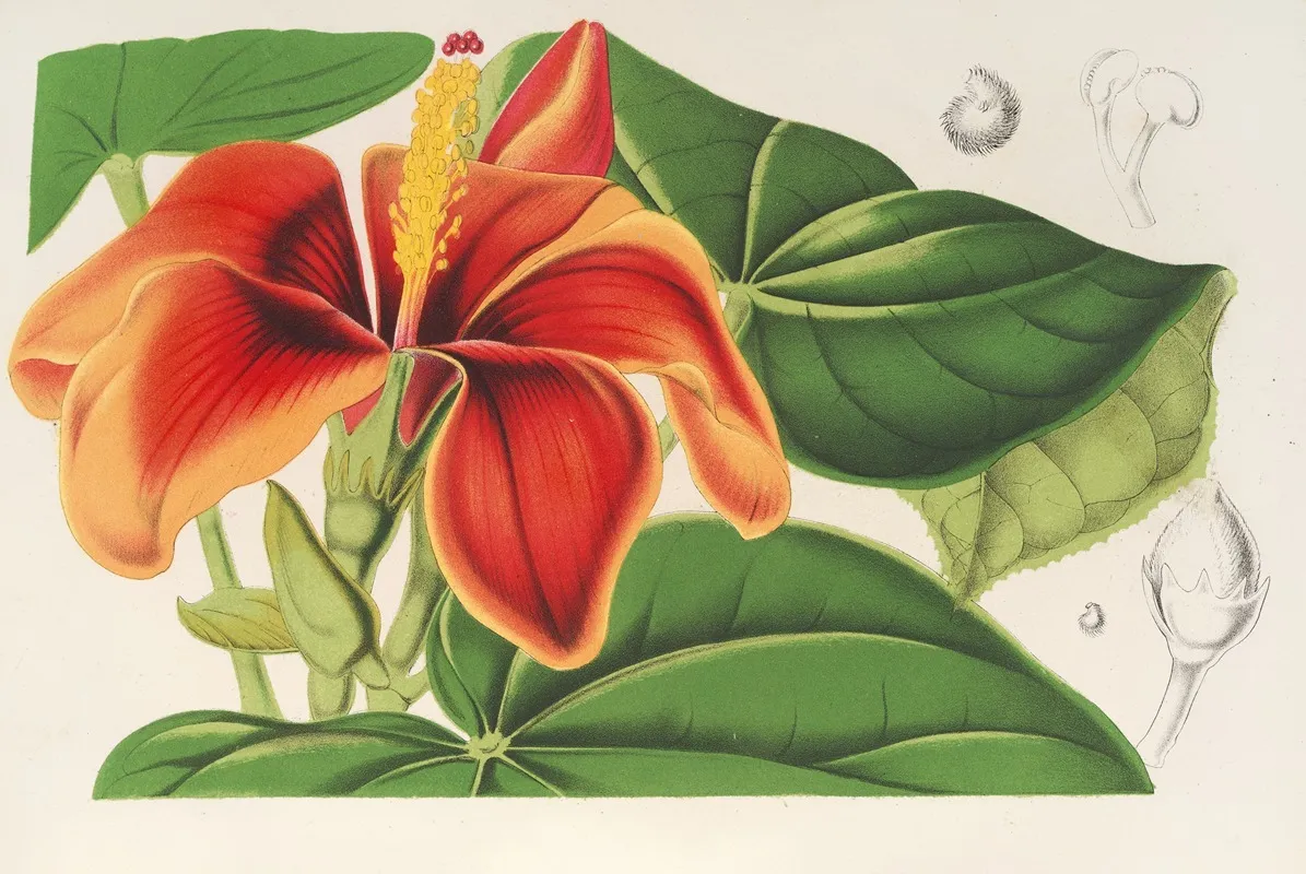 Paritium Elatum Wall Art by Charles Antoine Lemaire - High-Resolution Digital Print