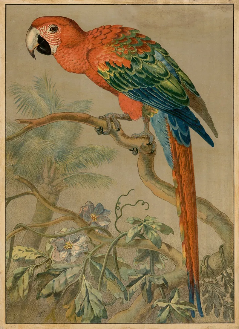 Parrot 3 Wall Art by Emil Sachsse - High-Resolution Digital Print