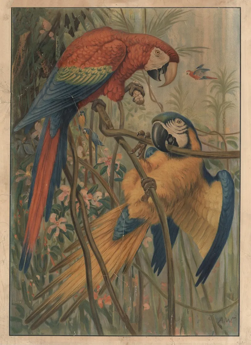 Parrot 4 Wall Art by Alfred Weczerzick - High-Resolution Digital Print