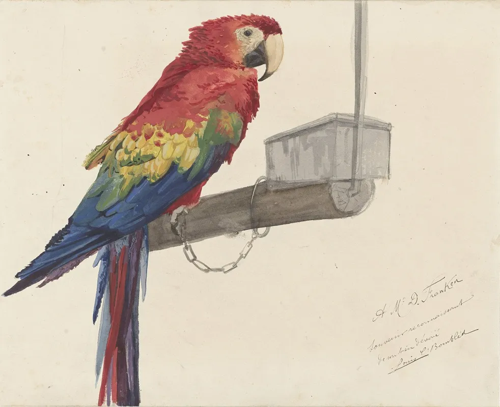Parrot Wall Art by Louis-Charles Bombled - High-Resolution Digital Print