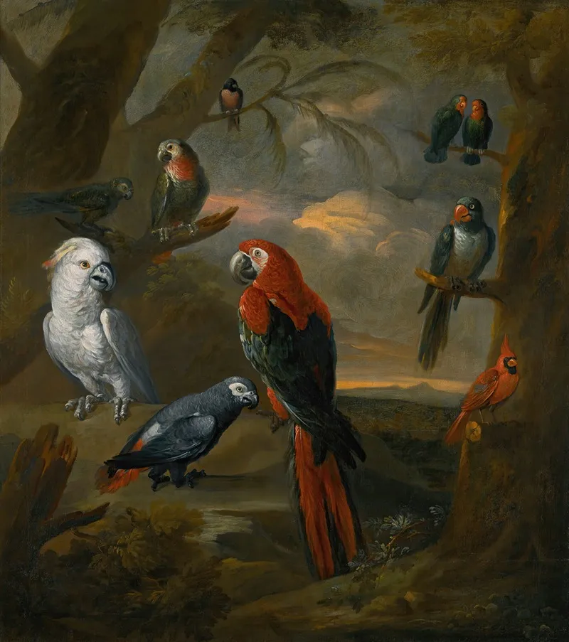 Parrots In An Extensive Woodland Landscape Wall Art by Tobias Stranover - High-Resolution Digital Print