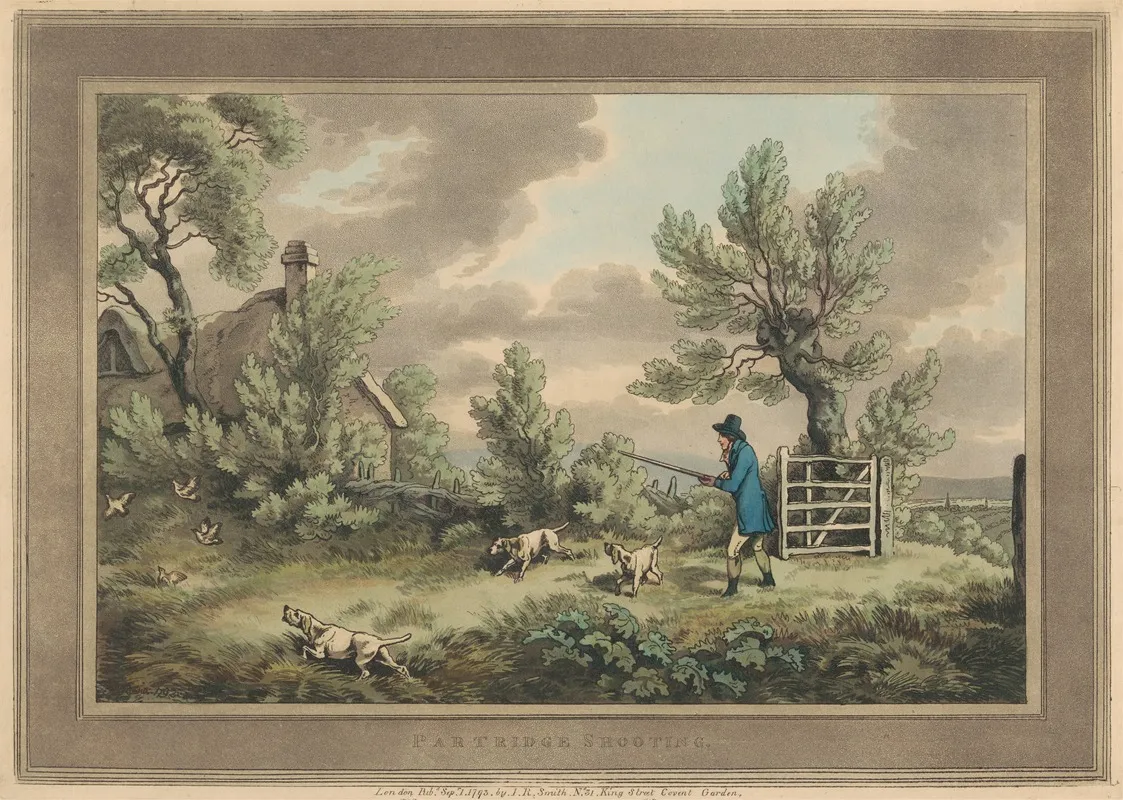 Partridge Shooting 4