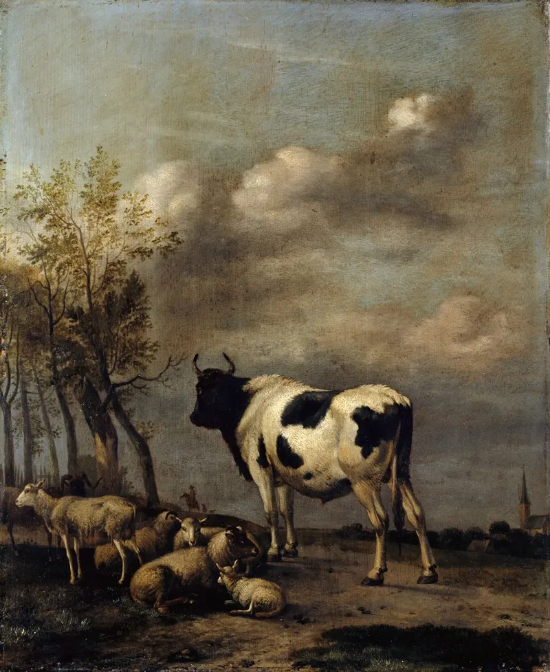 Pasturage With Black And White Bull