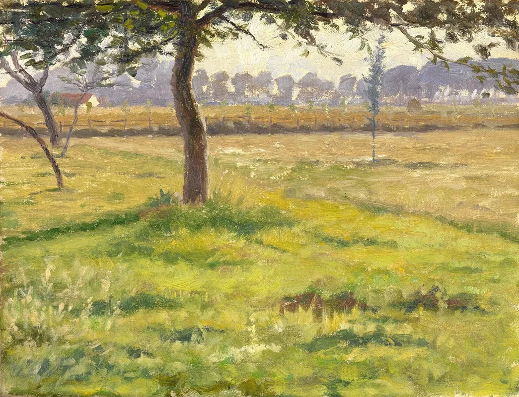 Pastureland In Flanders