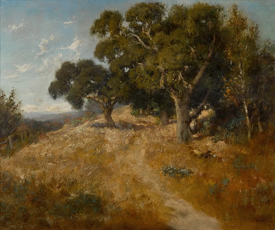 Path Through California Oaks