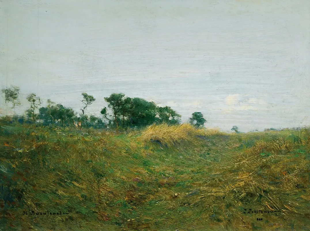 Path Through The Grass