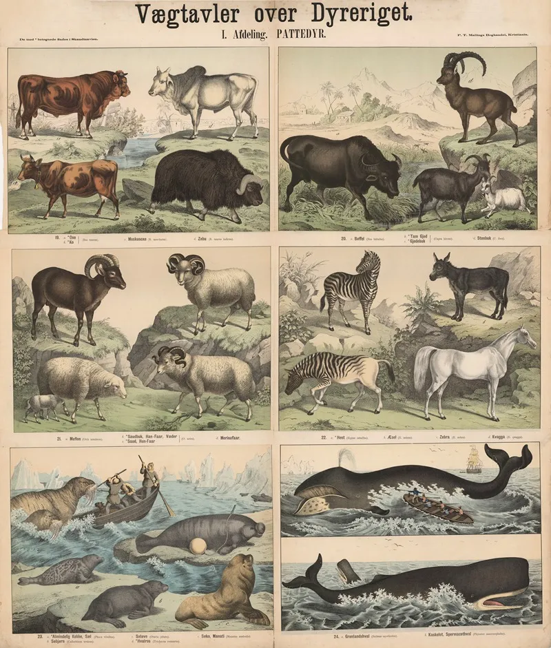 Pattedyr 4 Wall Art by P.T. Malling - High-Resolution Digital Print