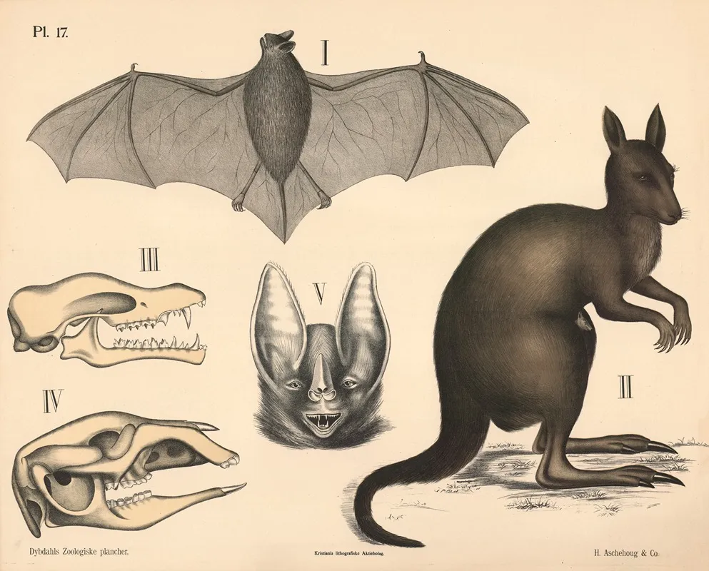 Pattedyr Flaggermus Og Pungdyr Variant 1 Wall Art by Peter Dybdahl - High-Resolution Digital Print