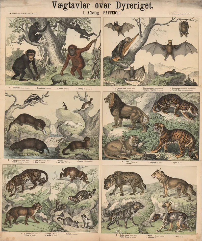 Pattedyr Wall Art by P.T. Malling - High-Resolution Digital Print