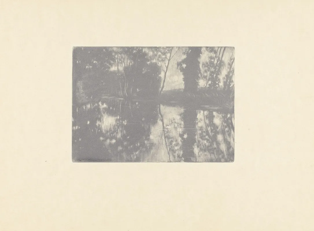 Paysage 101