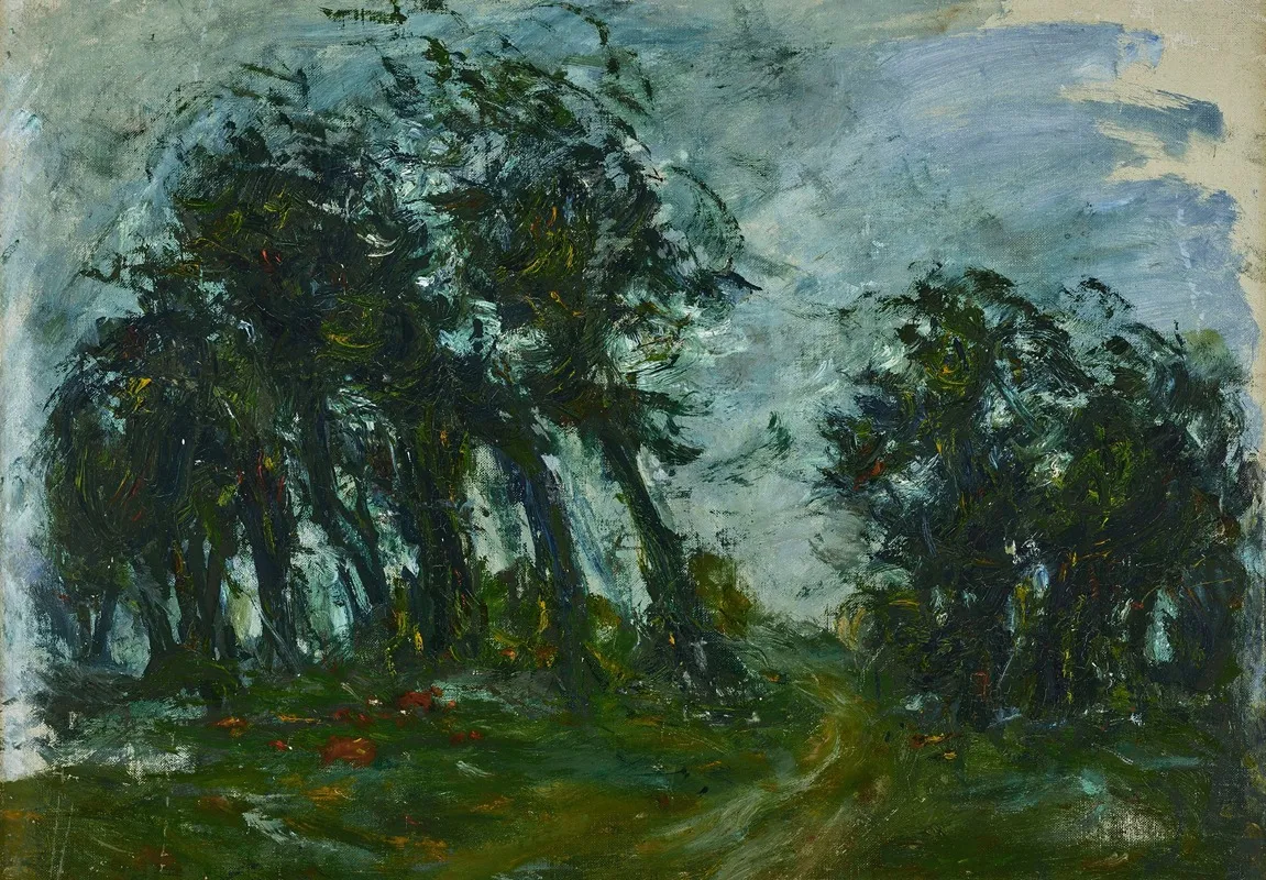 Paysage 45