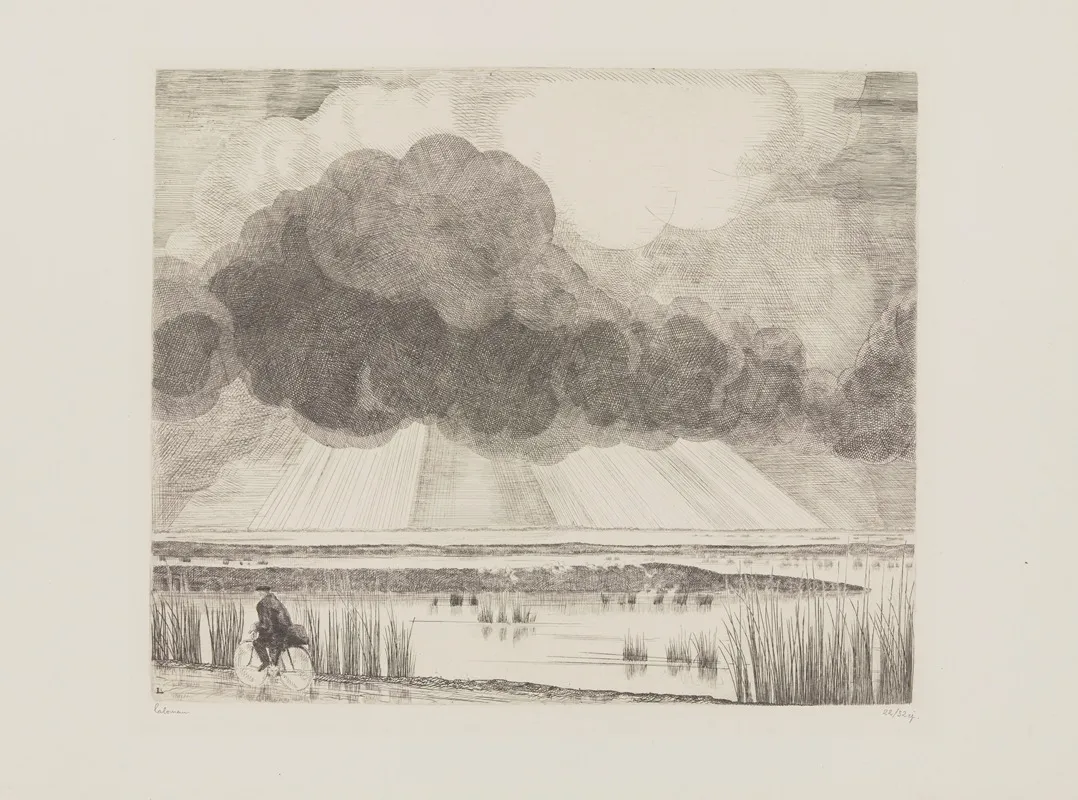 Paysage Au Cycliste