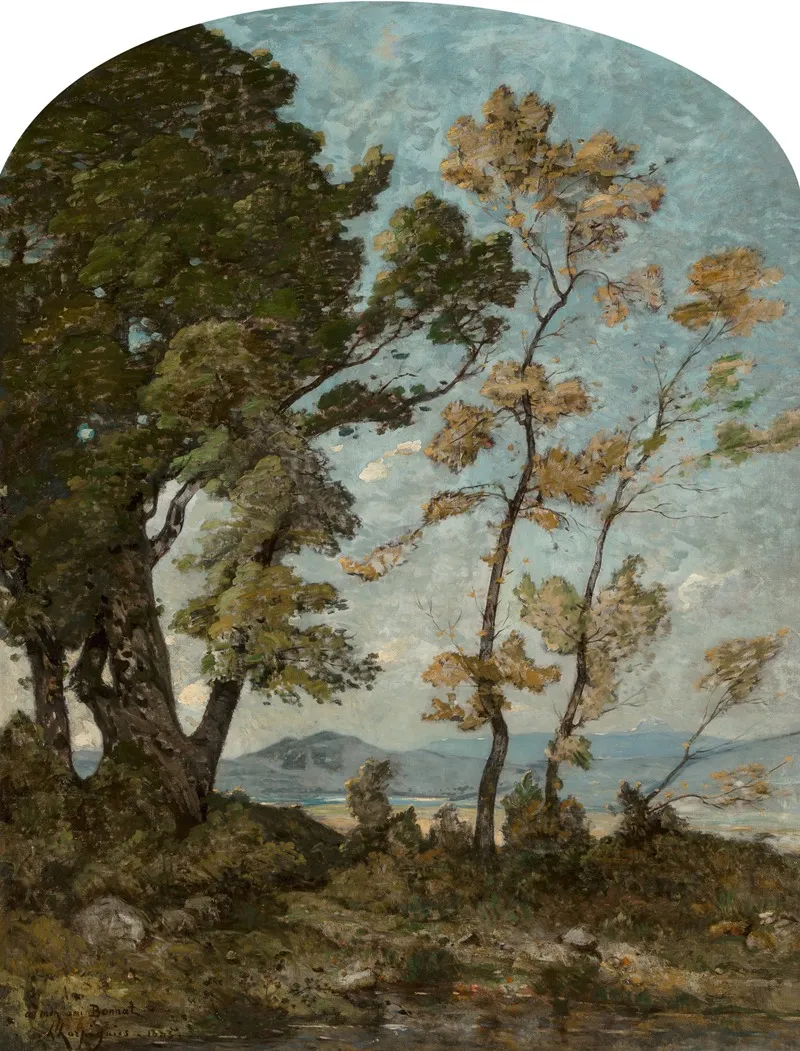 Paysage Du Midi 2