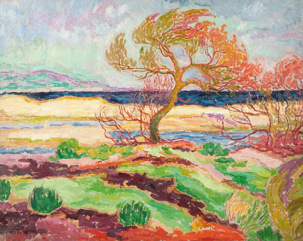 Paysage Du Midi 3