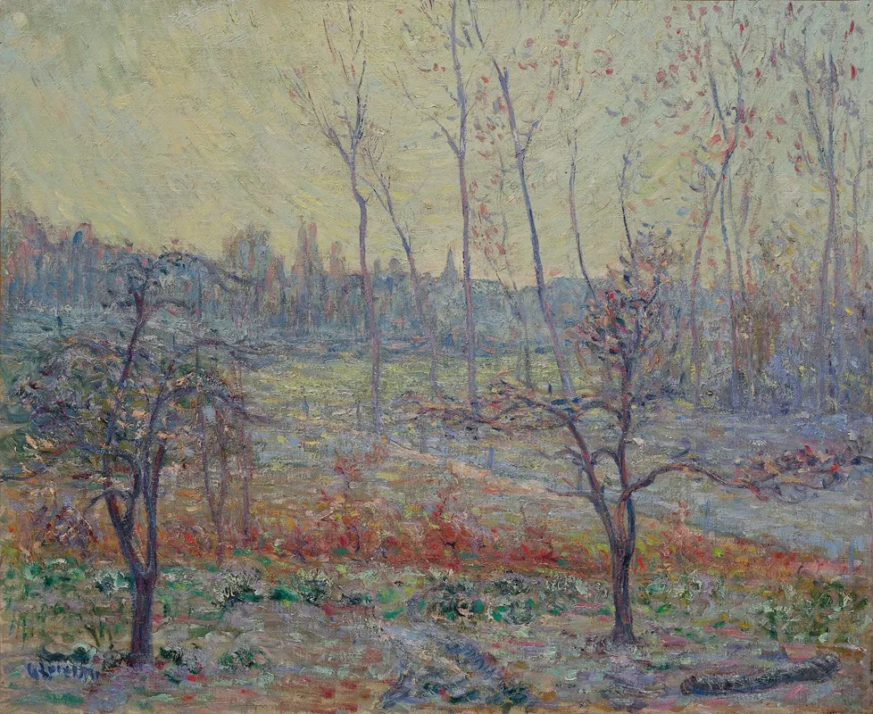 Paysage Givre De La Brume
