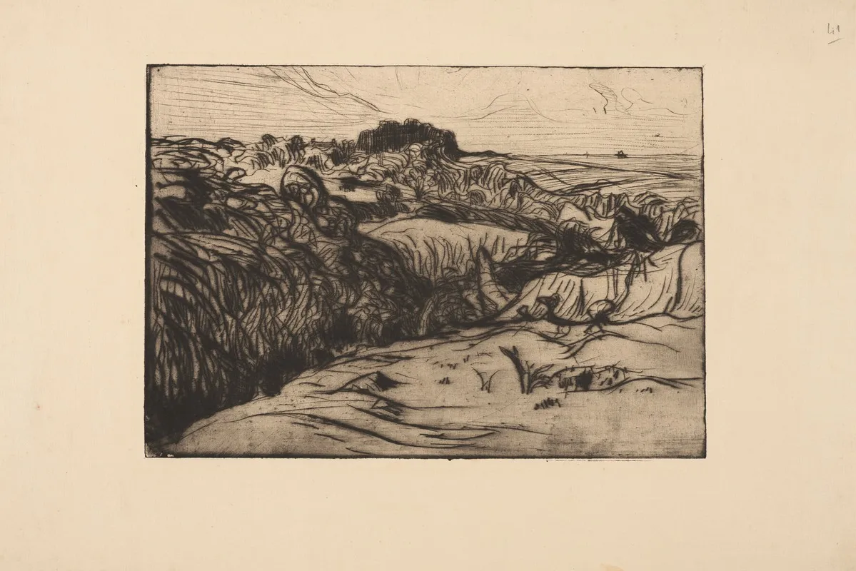 Paysage Sur La Cote