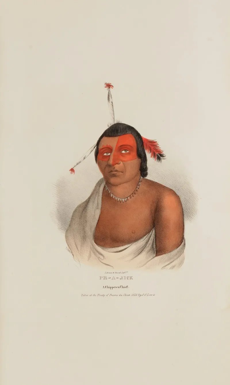 Pe A Jick A Chippewa Chief
