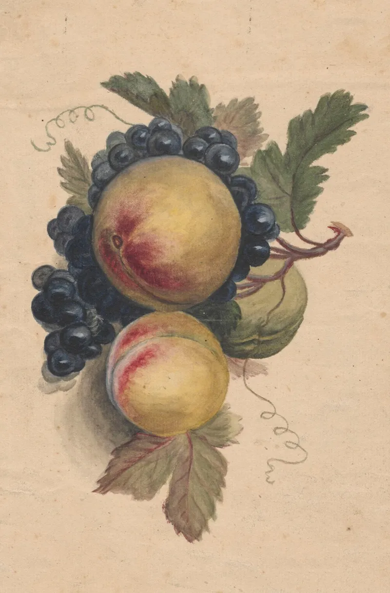 Peaches And Grapes Wall Art by Henryka Beyer - High-Resolution Digital Print