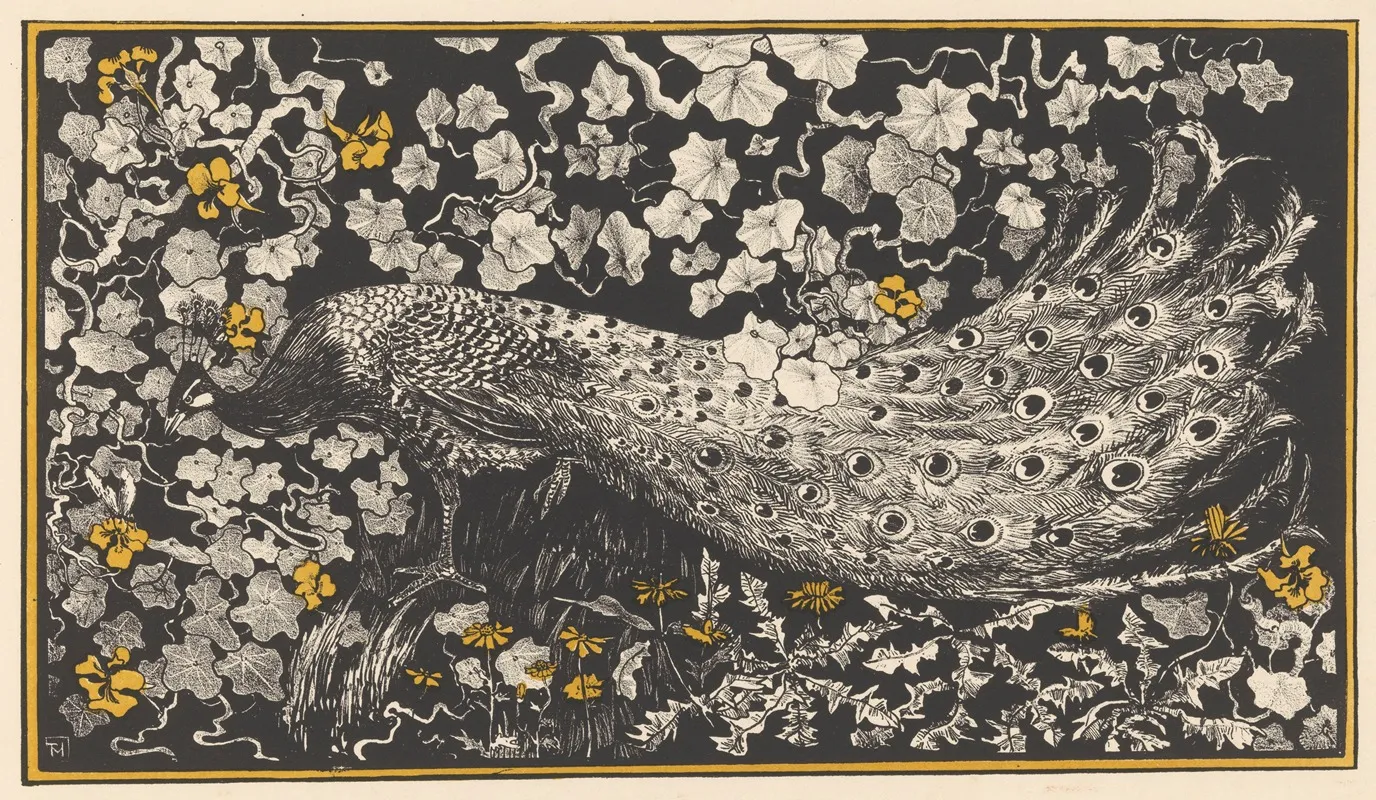 Peacock 2