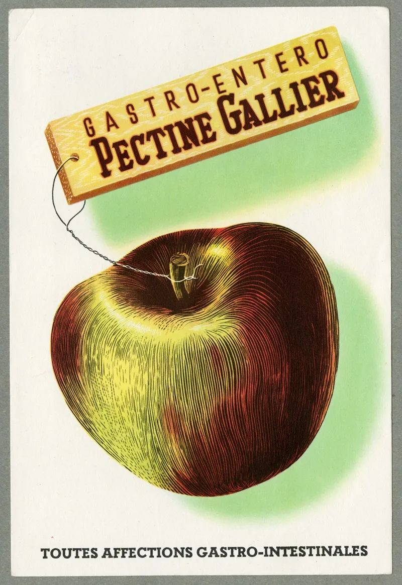 Pectine Gallier Wall Art by Laboratoire R. Gallier - High-Resolution Digital Print