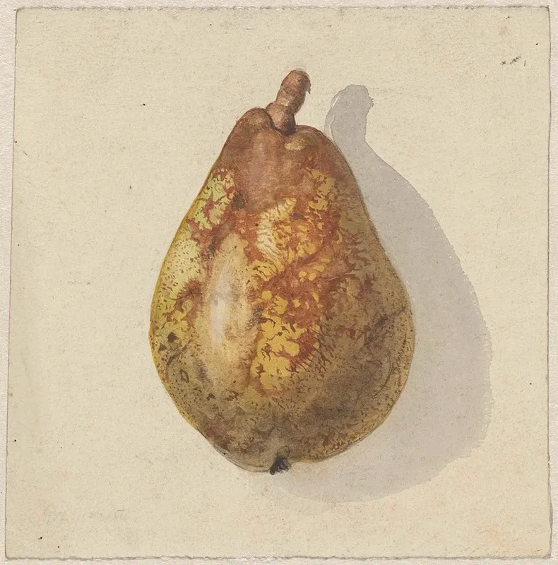 Peer