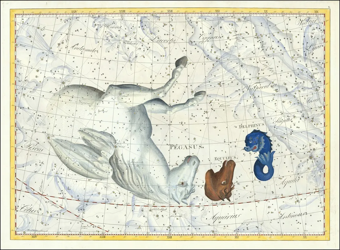 Pegasus Equleus Delphinus Wall Art by Johann Elert Bode - High-Resolution Digital Print