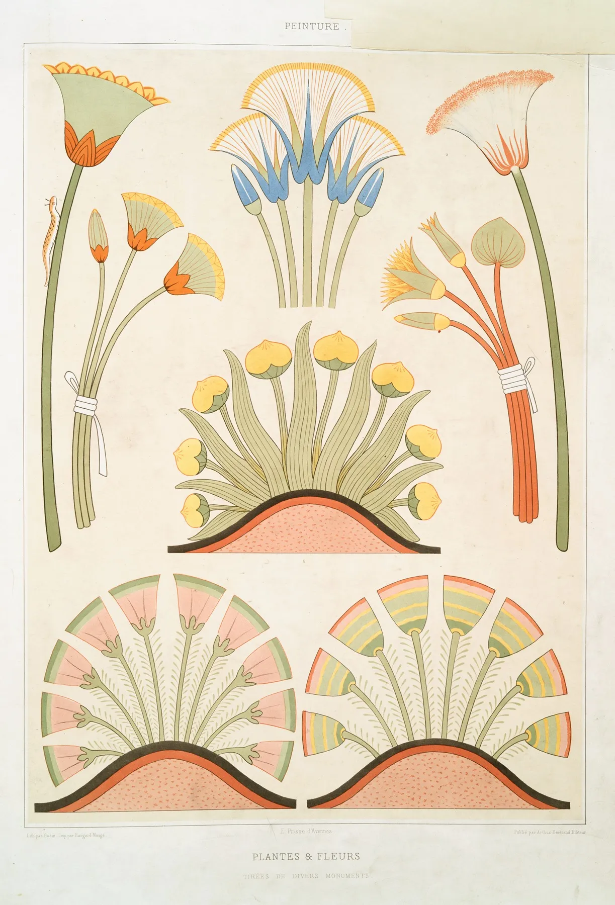 Peinture Plantes Fleurs Tirees De Divers Monuments
