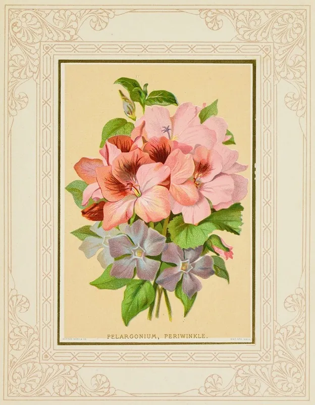Pelargonium Periwinkle Wall Art by Marcus Ward &amp; Co - High-Resolution Digital Print