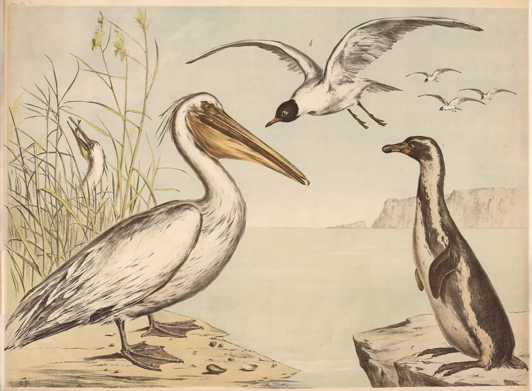 Pelikan Move Pinguin Wall Art by Franz Engleder - High-Resolution Digital Print