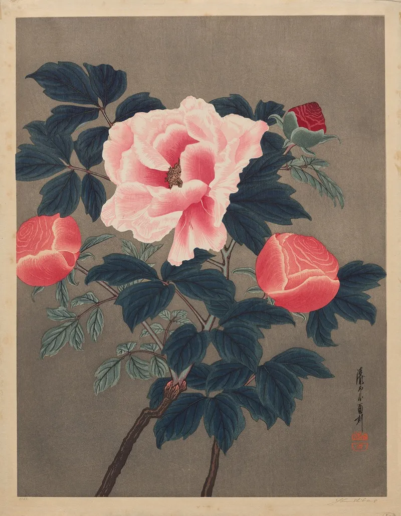 Peonies 10 Wall Art by Yoshijiro Urushibara - High-Resolution Digital Print