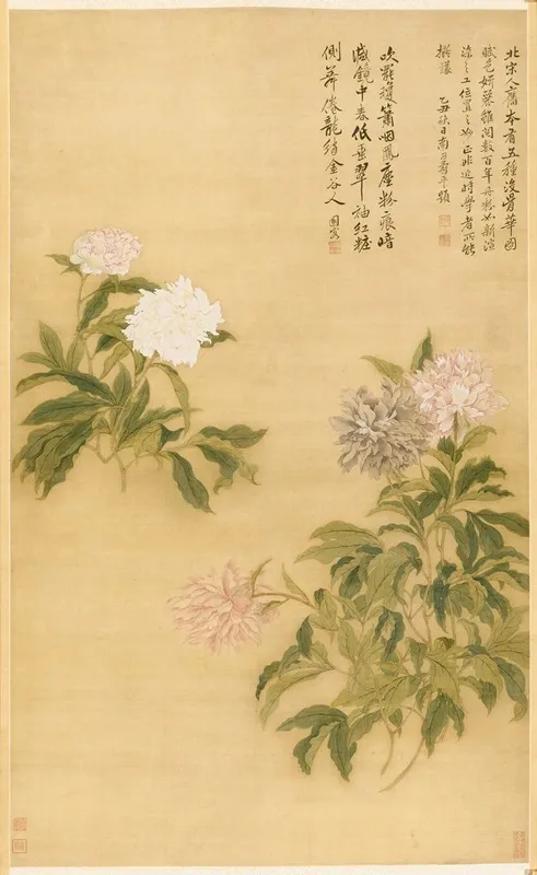 Peonies 5