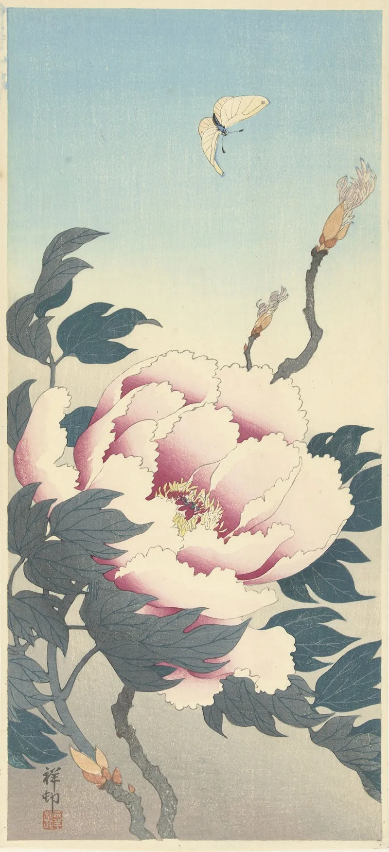 Peony With Butterfly Wall Art by Ohara Koson - High-Resolution Digital Print