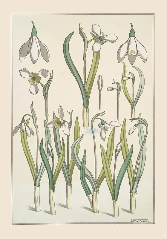 Perce Neige Wall Art by Maurice Pillard Verneuil - High-Resolution Digital Print