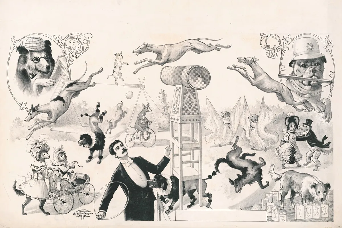Performing Dogs Wall Art by Russell, Morgan &amp; Co. - High-Resolution Digital Print