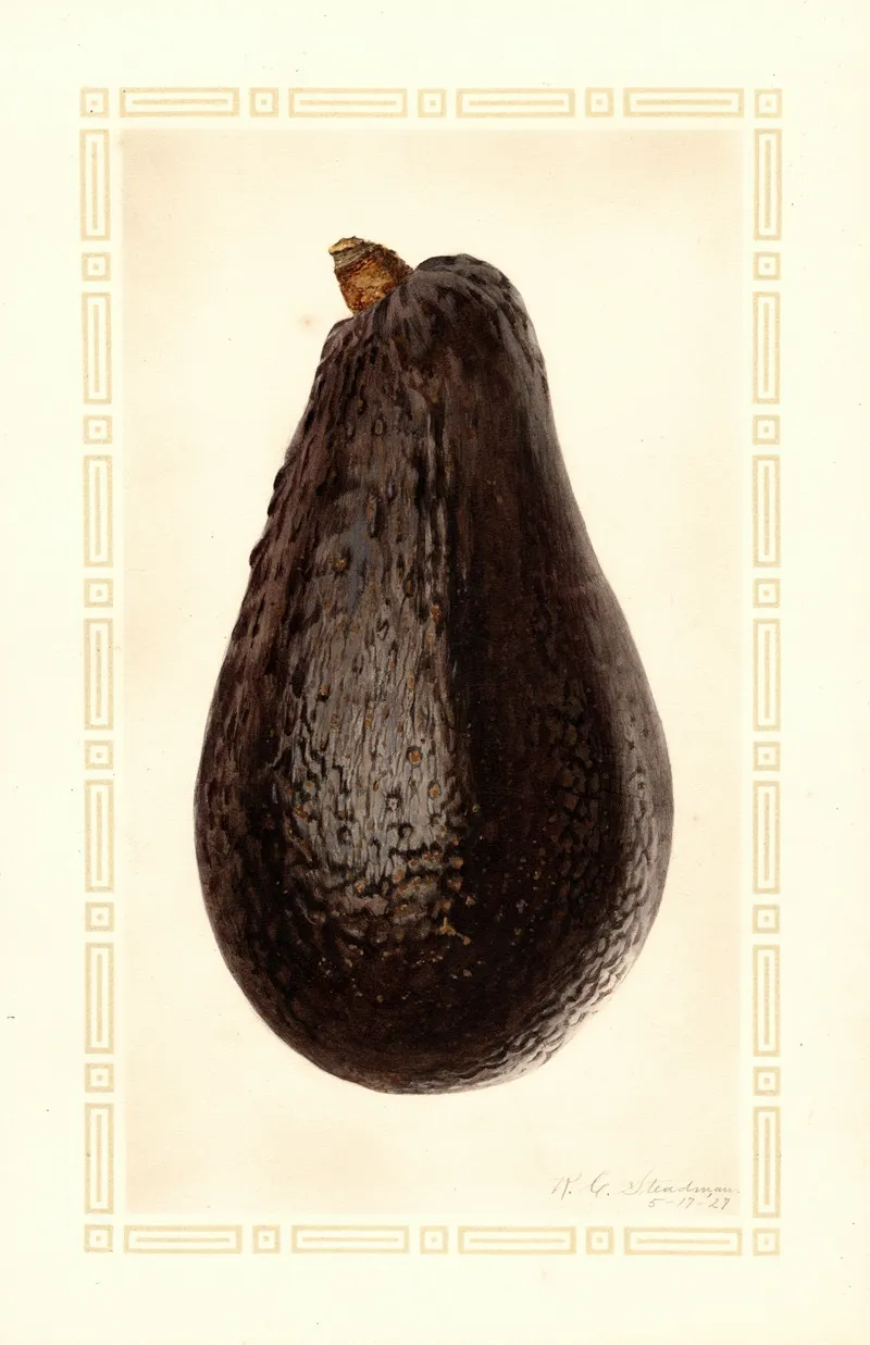 Persea Thompson Wall Art by Royal Charles Steadman - High-Resolution Digital Print