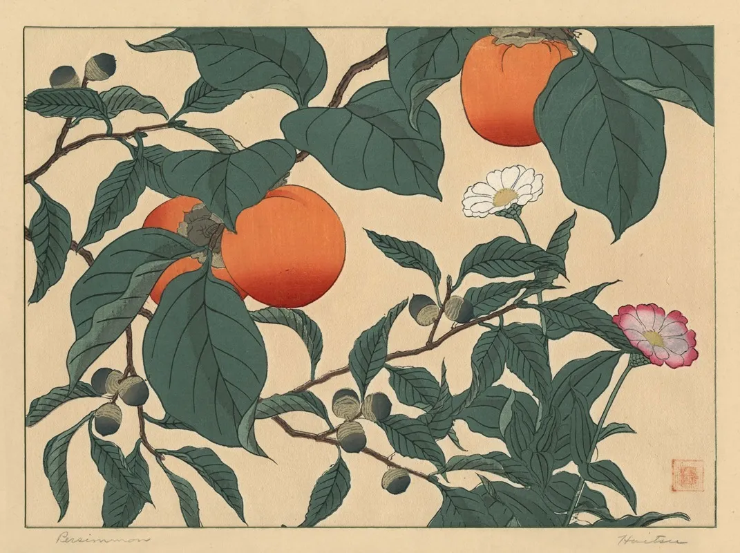 Persimmon 2 Wall Art by Sakai Hōitsu - High-Resolution Digital Print